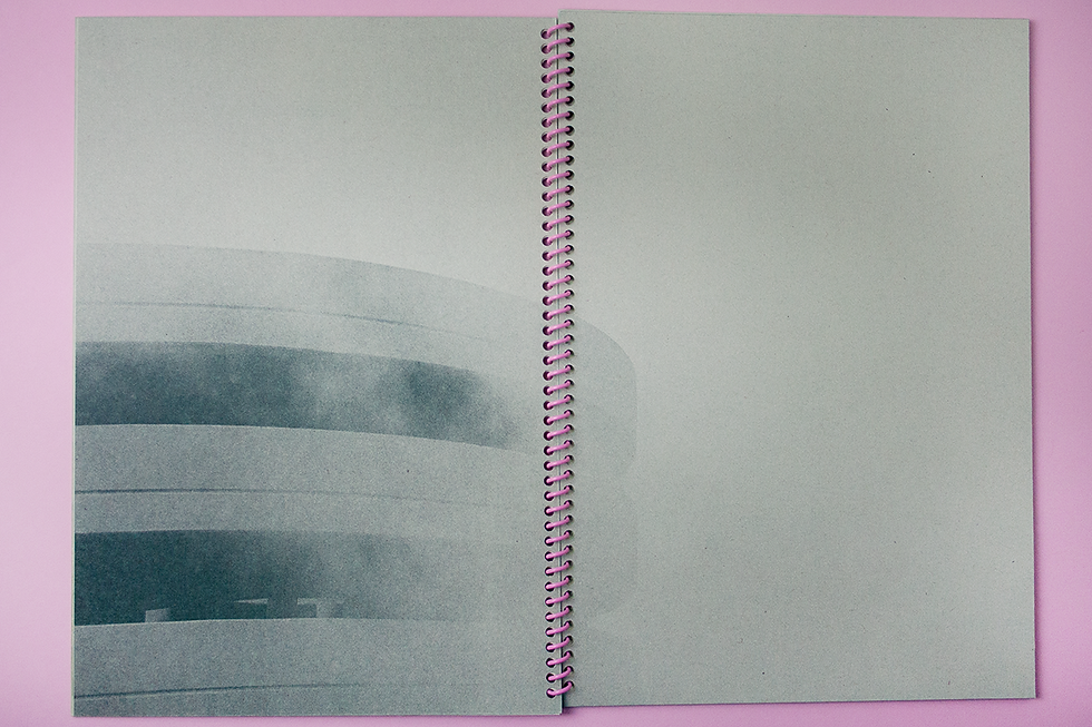 Thumbnail: "Green Country" Risograph Spiral Bound Book