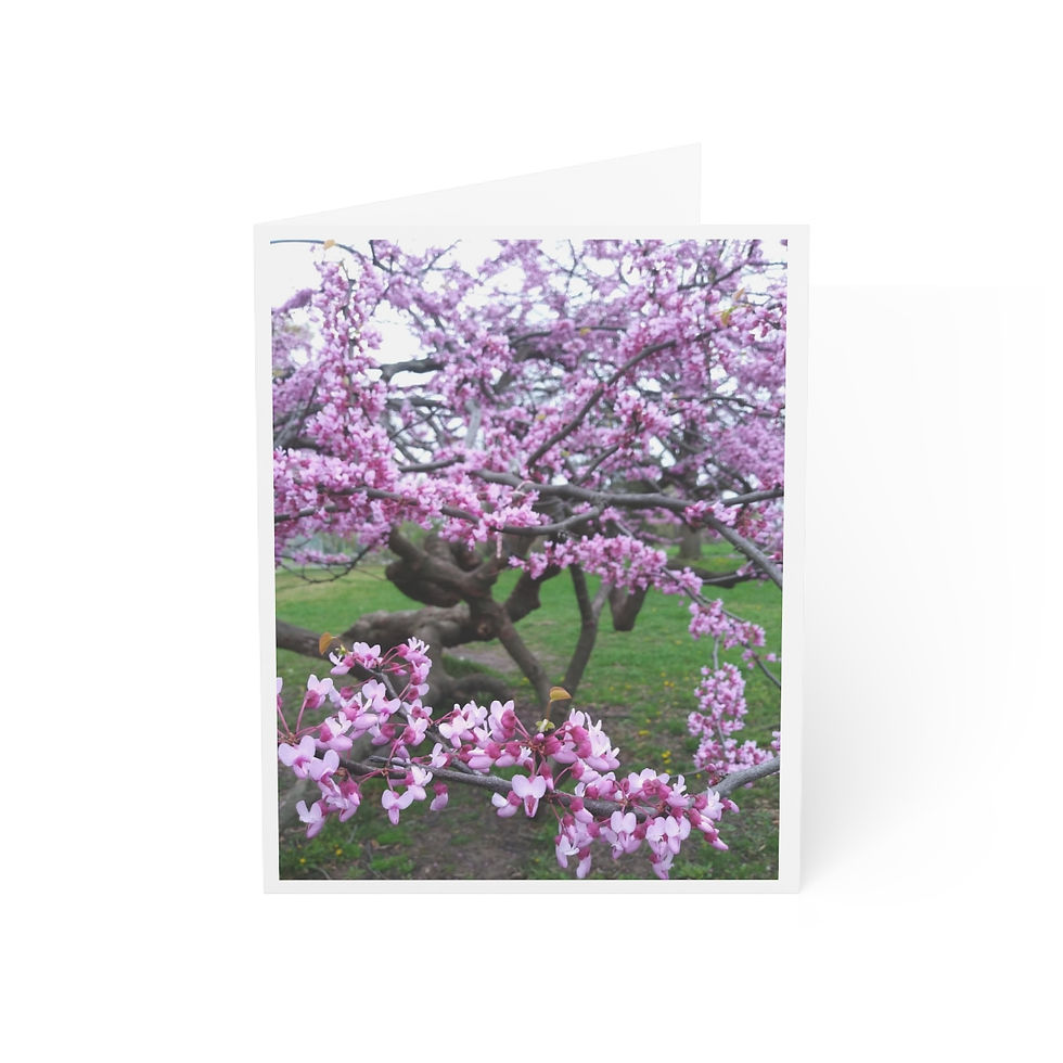 Thumbnail: Note Card - Spring Flowers (single card or in a set of 10)