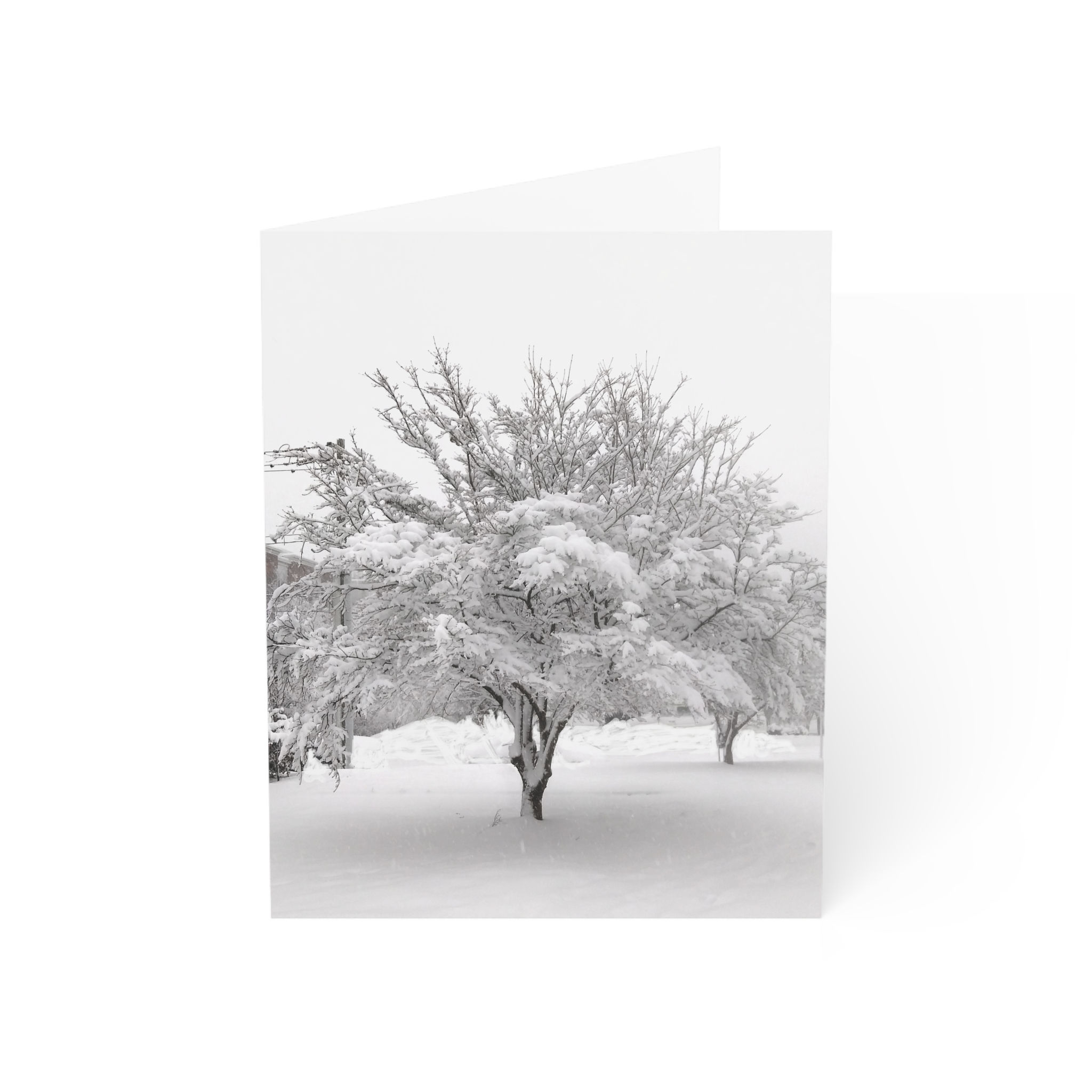 Note Card - Winter Tree (single card or in a set of 10)
