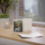Thumbnail: Note Card - Virginia (single card or in a set of 10)