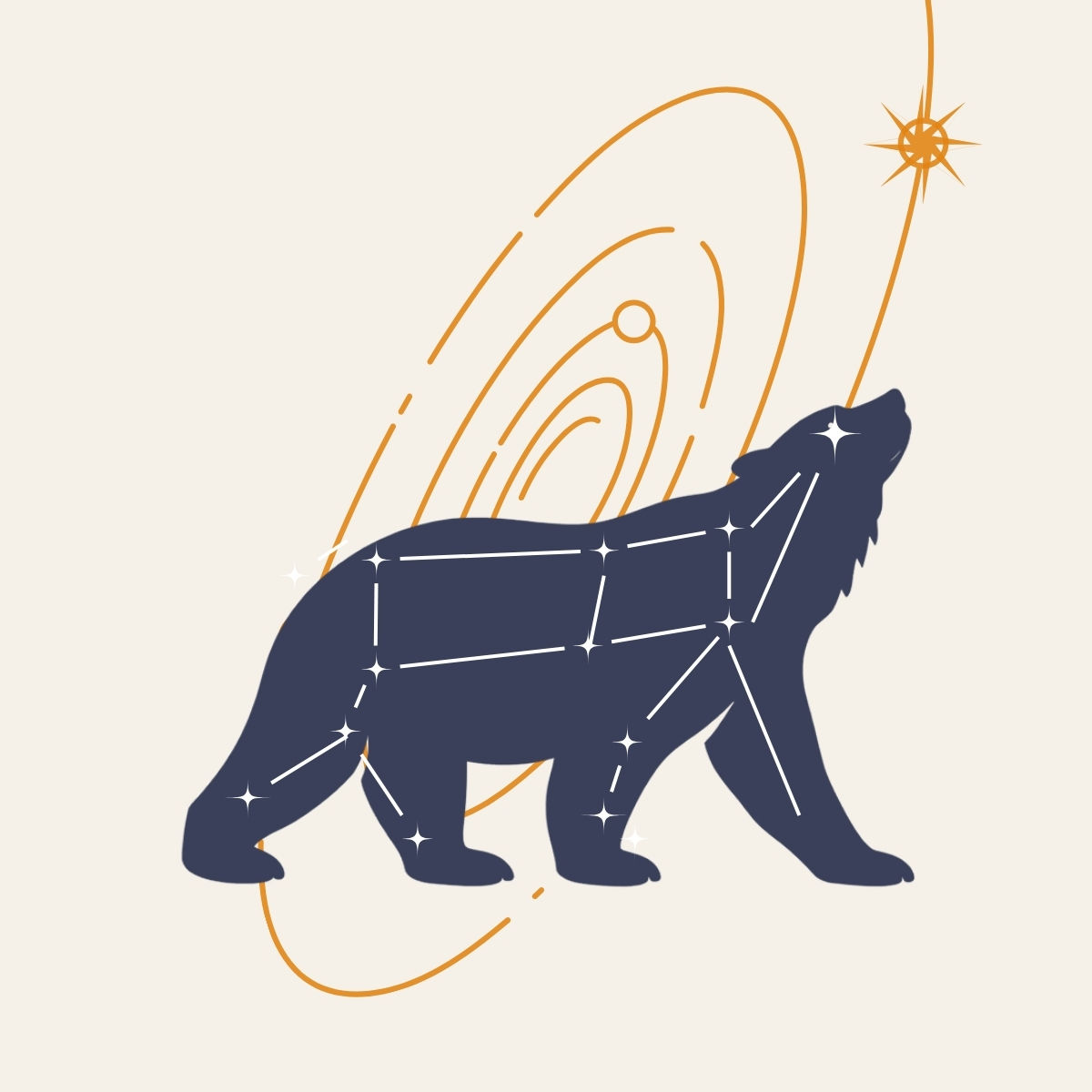 12 Month Predictive Astrology Reading + Birth Chart Analysis