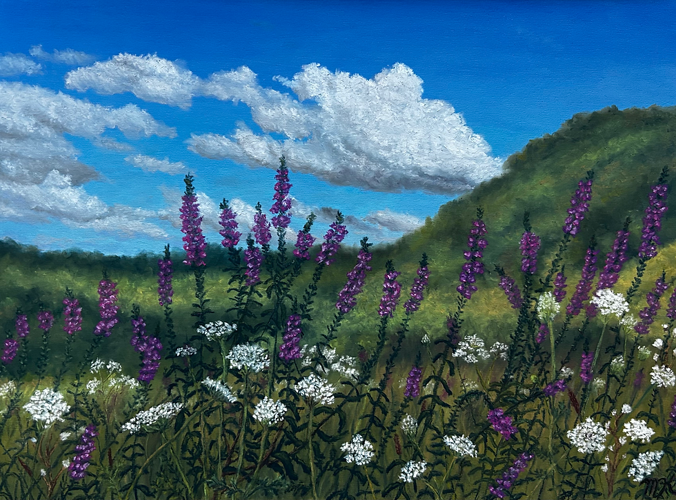 Loosestrife and Lace