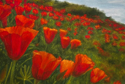 Dancing Poppies