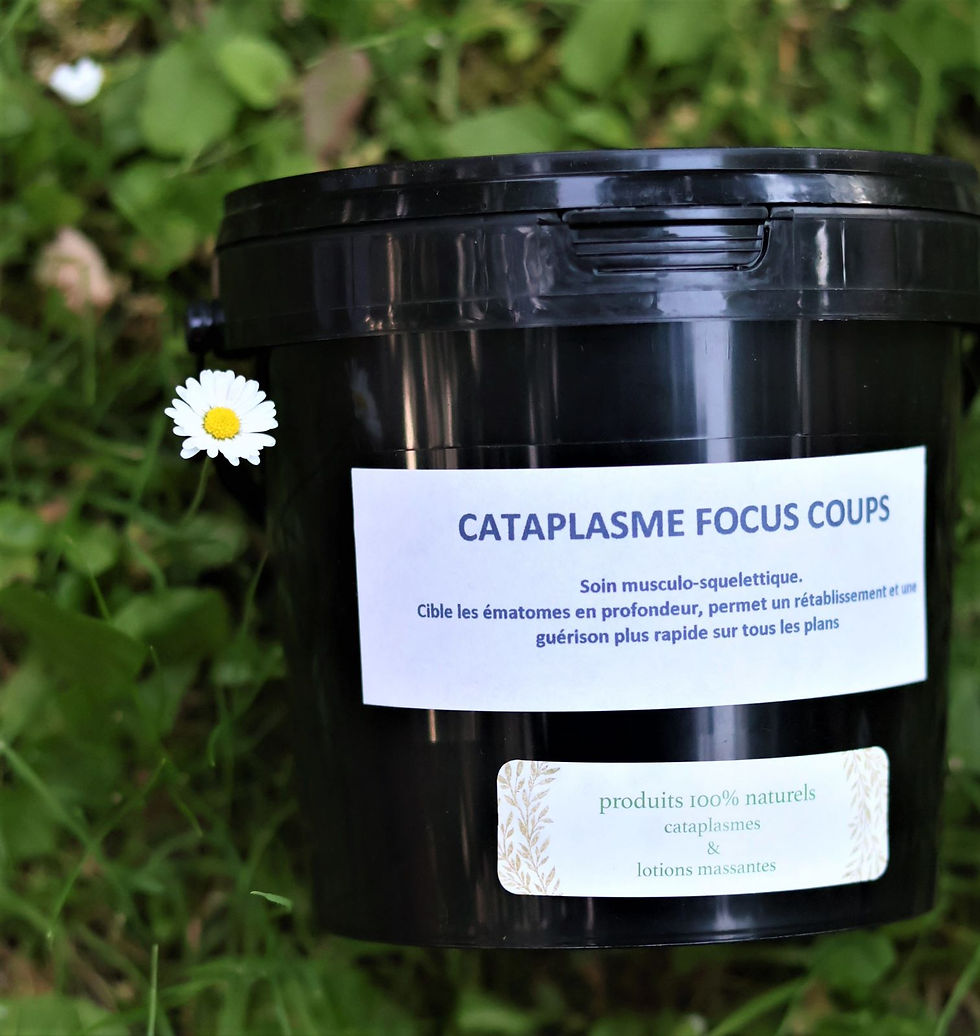 cataplasme