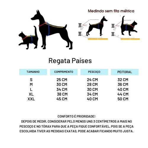 Miniatura: Regata Países