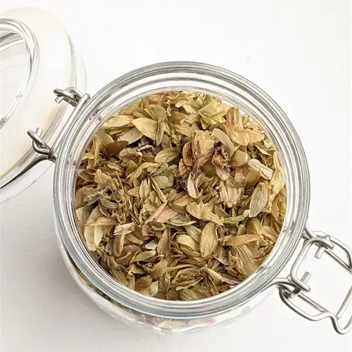 Miniature : Houblon
