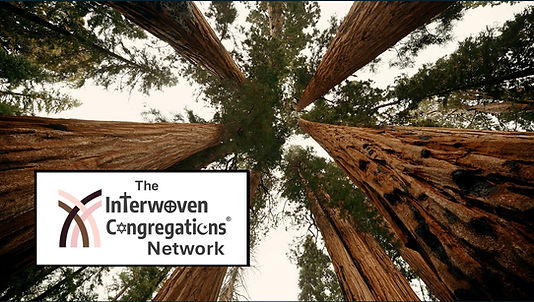 IwC Network -- Trees.JPG
