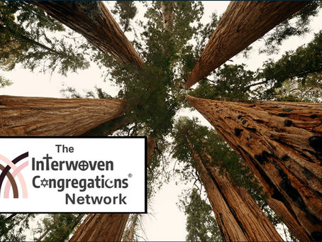 Launch of the Interwoven Congregations Network!