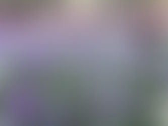 Support Interwoven Congregation's Spring Campaign!