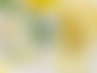 Las aguas de sabor más raras de México