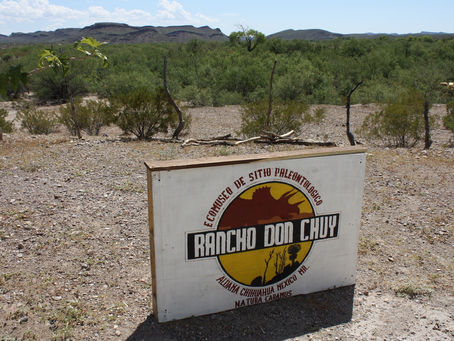 Rancho Don Chuy: Tesoros prehistóricos en Chihuahua