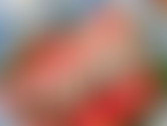 El mito detrás de los Chiles en nogada