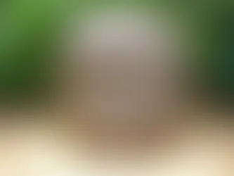 La cultura olmeca es considerada la “cultura madre” de Mesoamérica