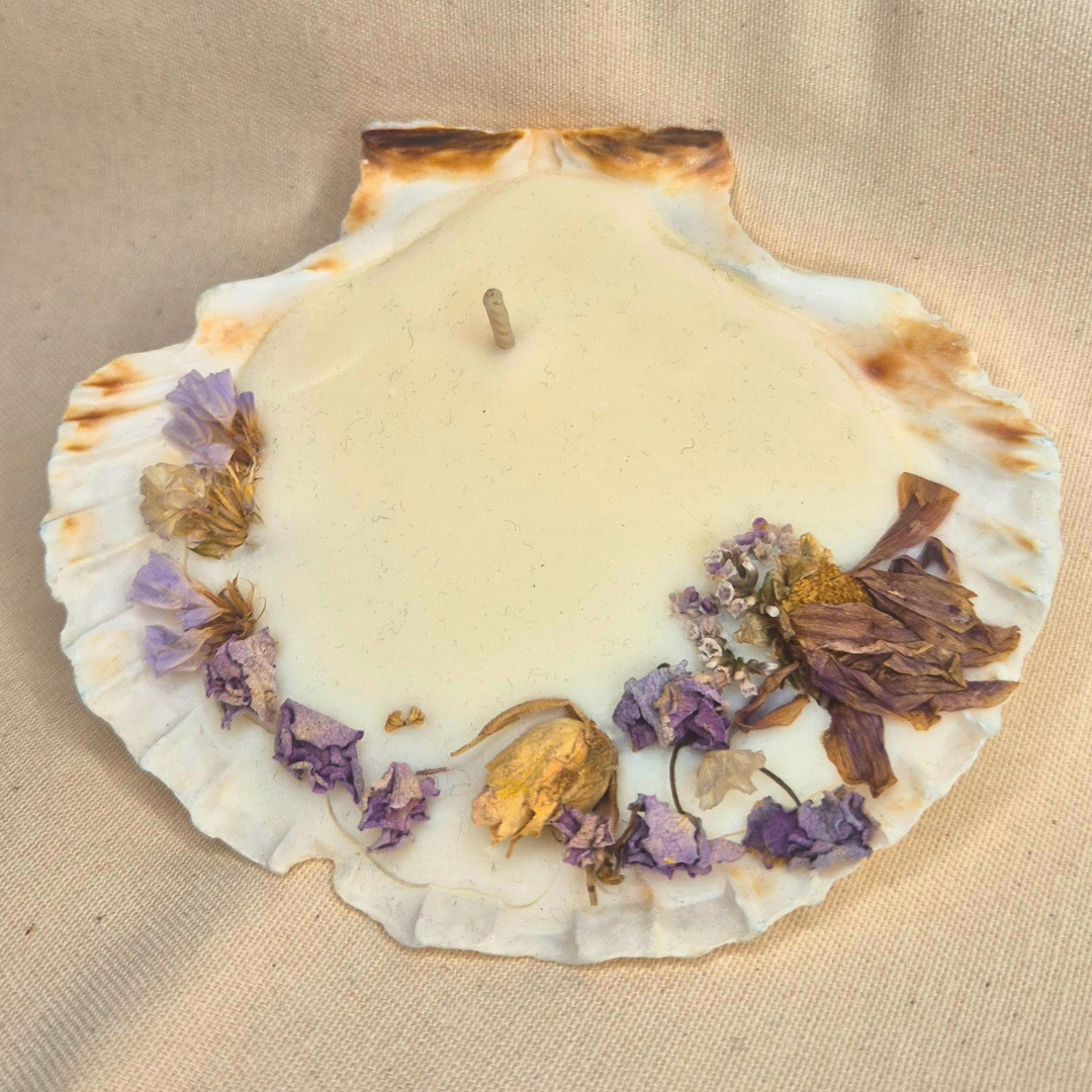 La coquille - Amande