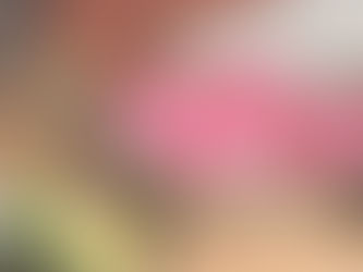 How is Cooking like Architecture?