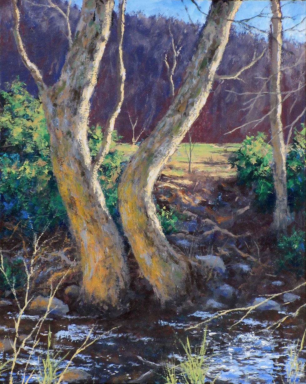 Two Sycamores