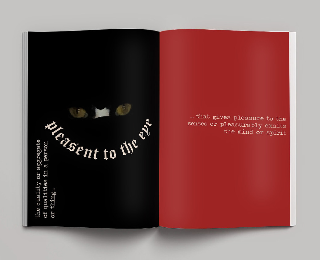 PAGE 5-6.jpg