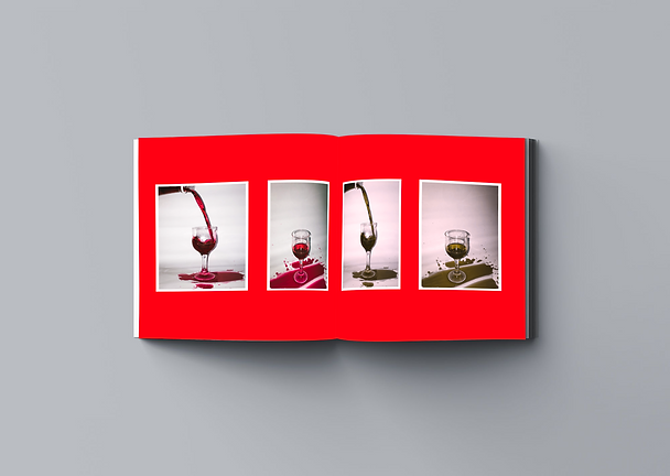 CHAPTER 1 (6).png