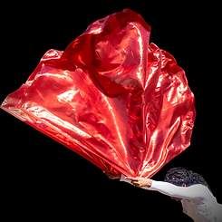WAE image.png