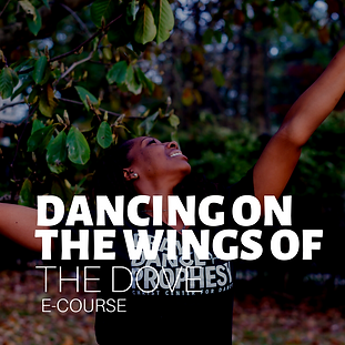 DANCE Courses (8).png