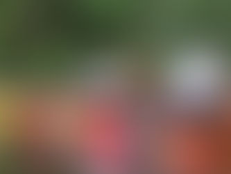 This Father's Day Weekend: Free Fun at Vero Beach's Environmental Learning Center