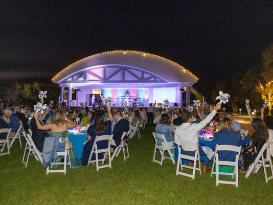 Last Call for Mangroves, Moonlight and Milan