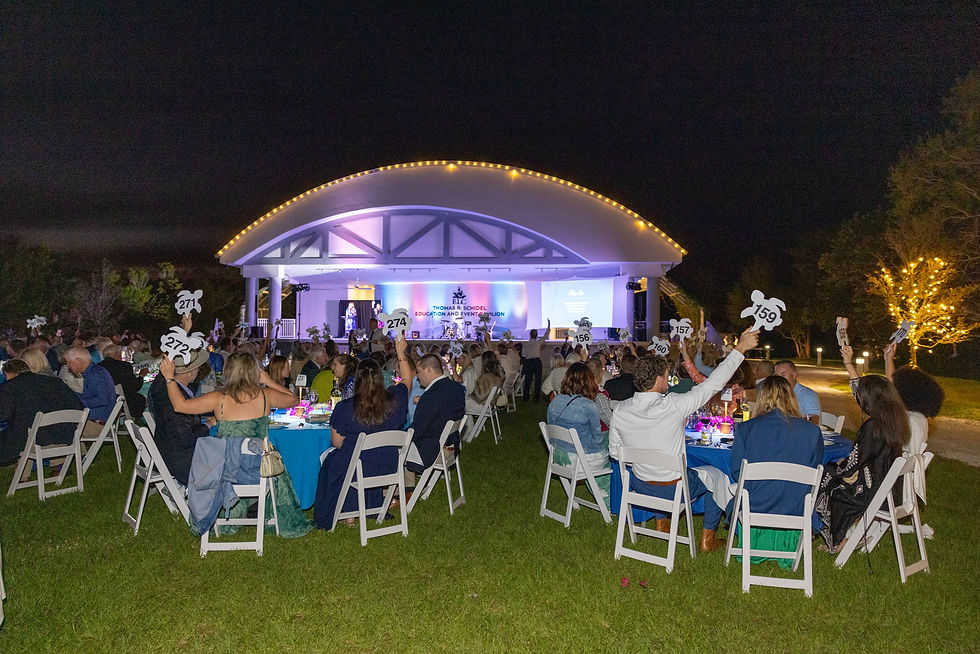 Last Call for Mangroves, Moonlight and Milan