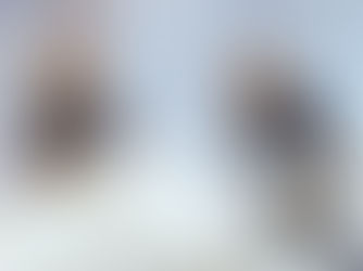 Vero Beach Museum of Art Offers Free Admission to Veterans Year-Round