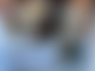 Let’s Talk Vero, Fellsmere and Sebastian -- this Wednesday at 5 PM