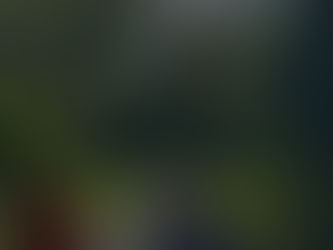 Couldn’t Be There? Relive McKee’s Magical Weekend Here