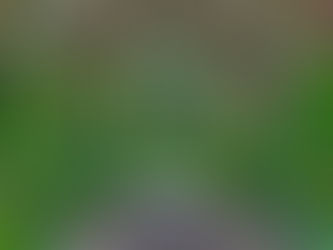 Twilight Temptations at McKee: Thursday Evenings in July