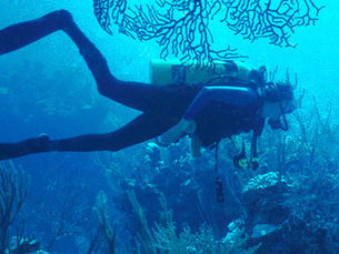 Eight Films, One Mission: Saving Our Oceans