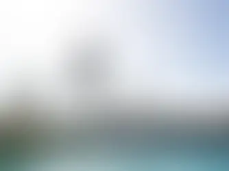 Where Dogs Run, Jump, and Rule the Day