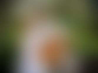 Beatles & Bossa: When Liverpool Meets Rio at Riverside