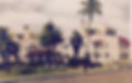 IMG_5377.jpeg