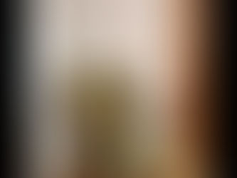 新しいガラスシェードがやってきました