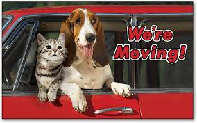 10 TIPS FOR MOVING WITH PETS