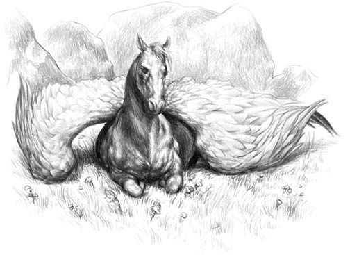 Pegasus