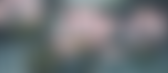 Healing Trauma: A Guide to Mental Wellness Support