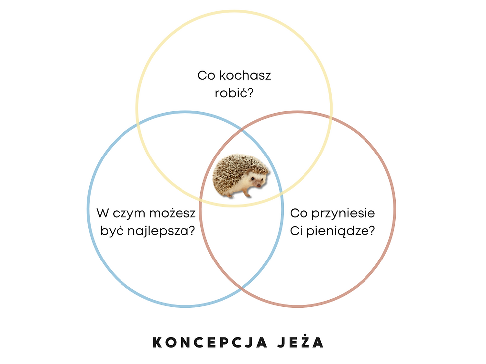 koncepcja jeża