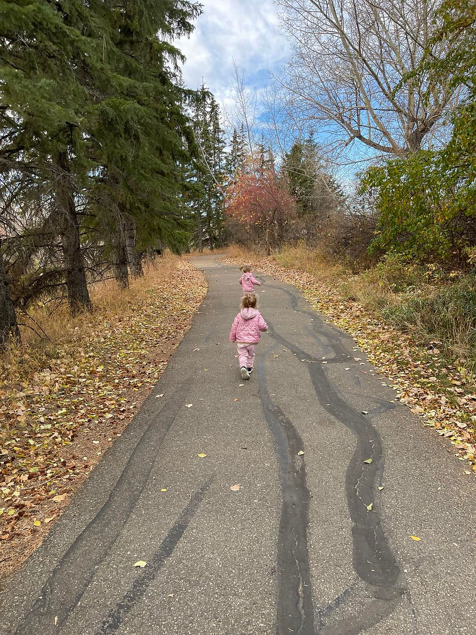Fall in Alberta, Canada