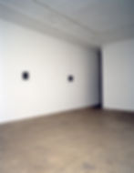 Kristin Oppenheim, "Sail on Sailor," installation view, 303 Gallery, NYC, 1994