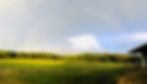 RainbowField2_edited.jpg