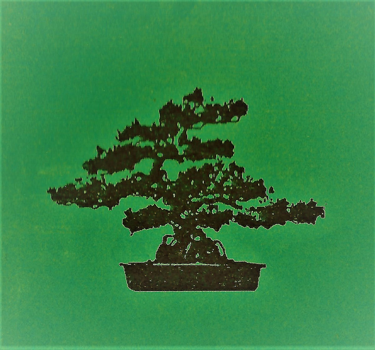 Jade Garden