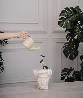 fcee575f84c31445394f6ce6ea561e0f (1).jpg