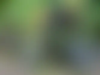 #Wincoi Sunday Bulletin 4 : Money in the Time Machine