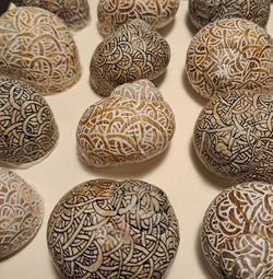 motifs spirales sur coquilles d'escargots