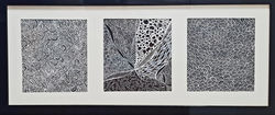 DOODLES TRIPTYQUES
