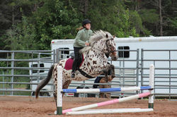 Horse Show Jumping-12