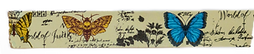Tape Butterfly 3.png
